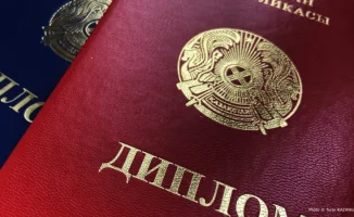 eGov запускает признание дипломов: новые возможности для образования