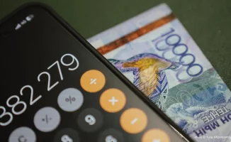 Новая профессия в Казахстане: снижение НДС открывает горизонты
