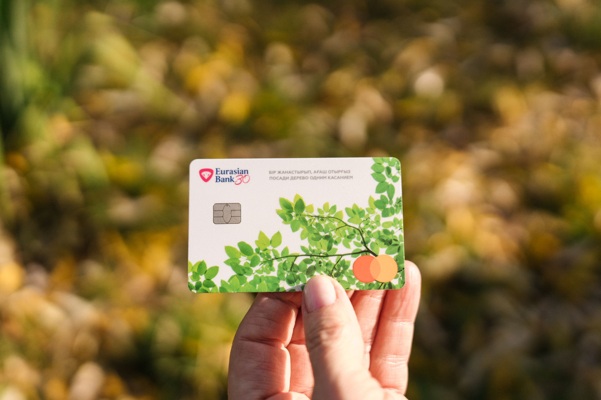 Яблоневый сад в Астане