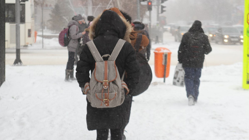 Астана: младшие классы второй смены на дистанционке из-за холода
