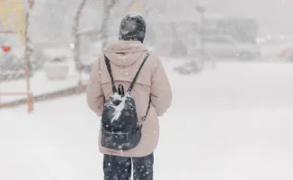 Морозы решают: учёба удалённо — новая реальность?